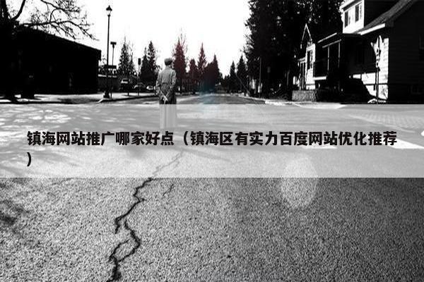 镇海网站推广哪家好点（镇海区有实力百度网站优化推荐）