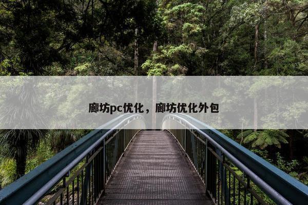 廊坊pc优化，廊坊优化外包