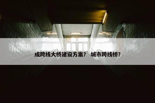 成跨线大桥建设方案？ 城市跨线桥？