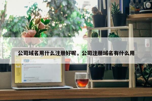 公司域名用什么注册好呢，公司注册域名有什么用