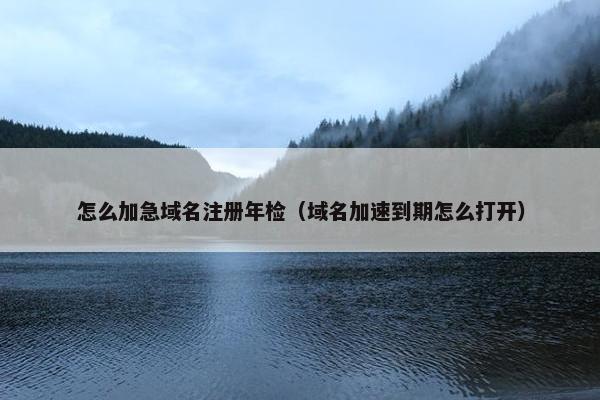 怎么加急域名注册年检（域名加速到期怎么打开）