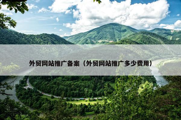 外贸网站推广备案（外贸网站推广多少费用）