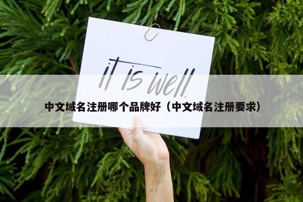 中文域名注册哪个品牌好（中文域名注册要求）