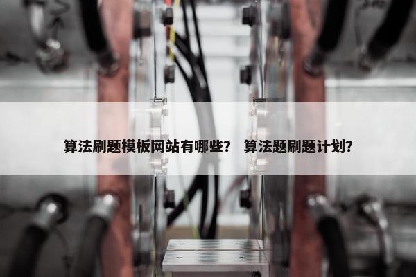 算法刷题模板网站有哪些？ 算法题刷题计划？