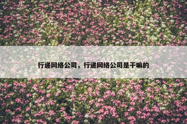 行递网络公司，行递网络公司是干嘛的