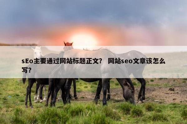 sEo主要通过网站标题正文？ 网站seo文章该怎么写？