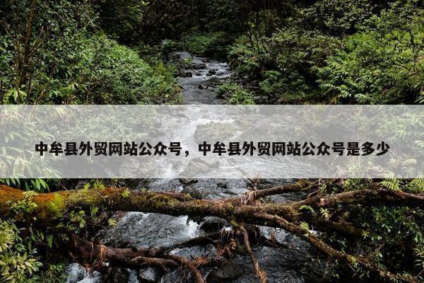 中牟县外贸网站公众号，中牟县外贸网站公众号是多少