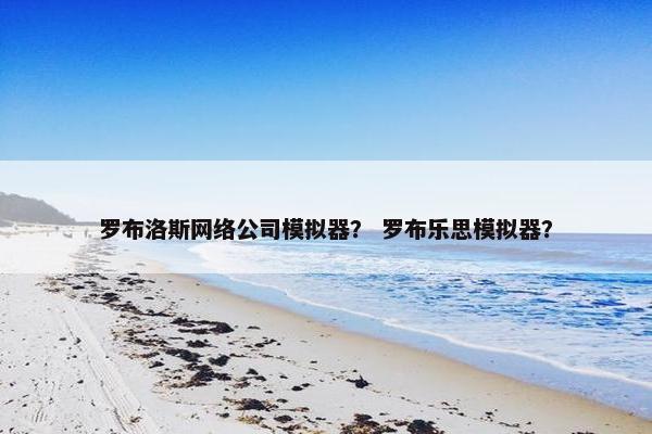 罗布洛斯网络公司模拟器？ 罗布乐思模拟器？