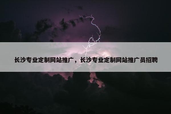 长沙专业定制网站推广，长沙专业定制网站推广员招聘