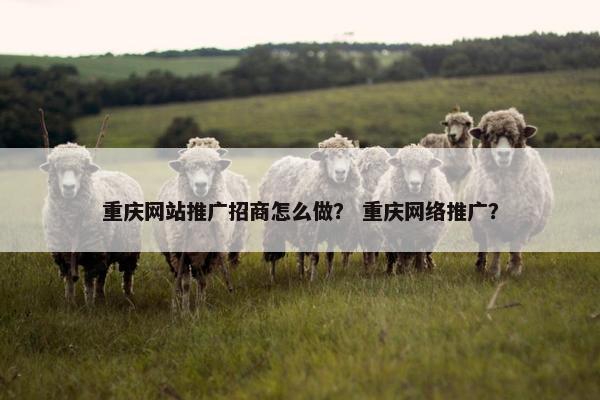 重庆网站推广招商怎么做？ 重庆网络推广？