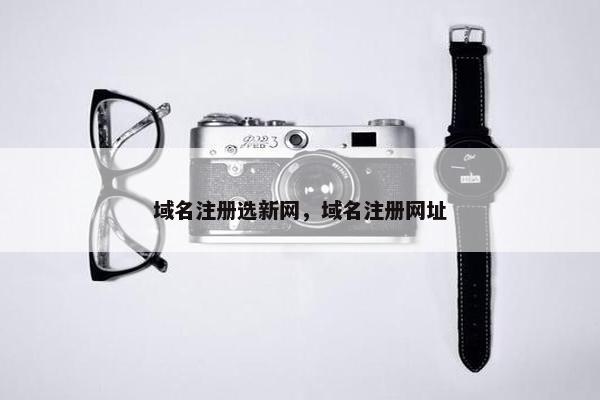 域名注册选新网，域名注册网址