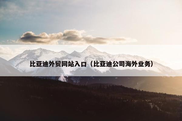 比亚迪外贸网站入口（比亚迪公司海外业务）