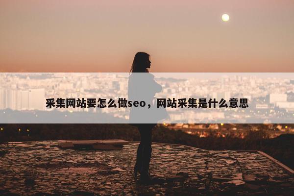 采集网站要怎么做seo，网站采集是什么意思