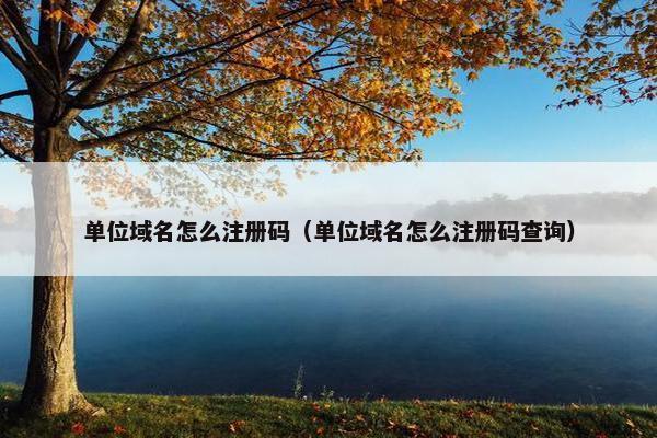单位域名怎么注册码（单位域名怎么注册码查询）