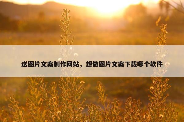 送图片文案制作网站，想做图片文案下载哪个软件