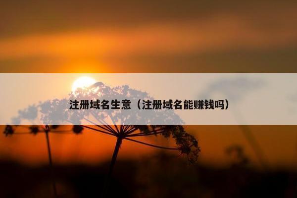 注册域名生意（注册域名能赚钱吗）