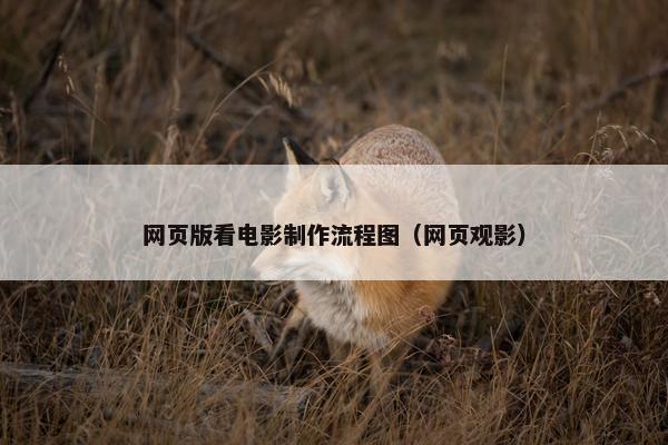 网页版看电影制作流程图（网页观影）