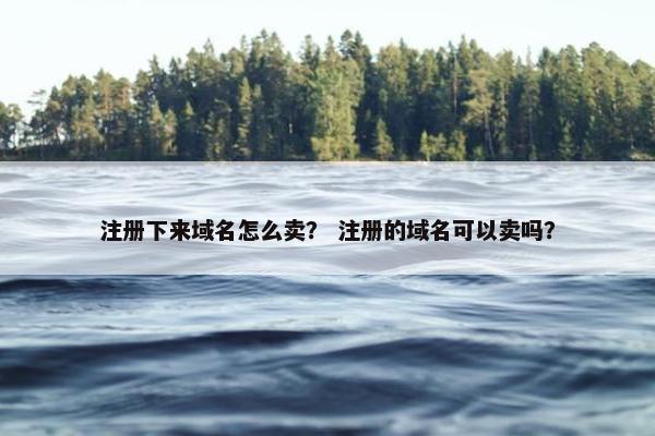 注册下来域名怎么卖？ 注册的域名可以卖吗？