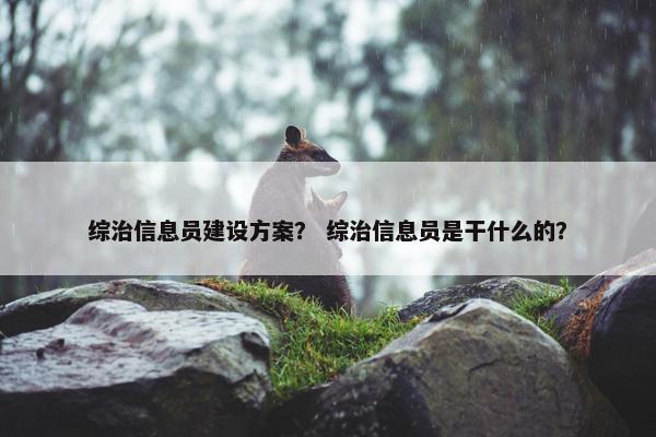 综治信息员建设方案？ 综治信息员是干什么的？