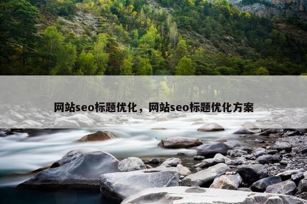 网站seo标题优化，网站seo标题优化方案