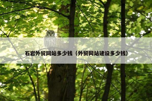 石岩外贸网站多少钱（外贸网站建设多少钱）