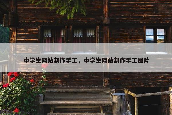 中学生网站制作手工，中学生网站制作手工图片