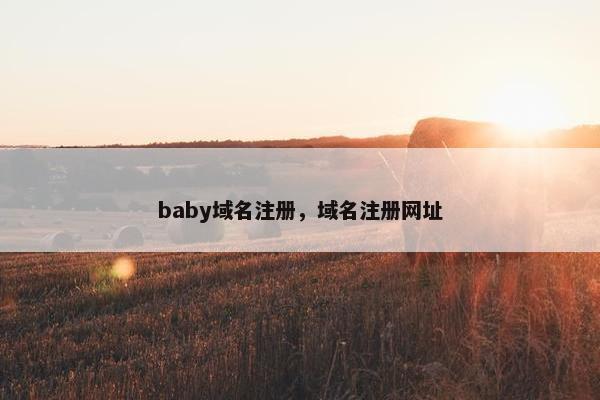 baby域名注册，域名注册网址