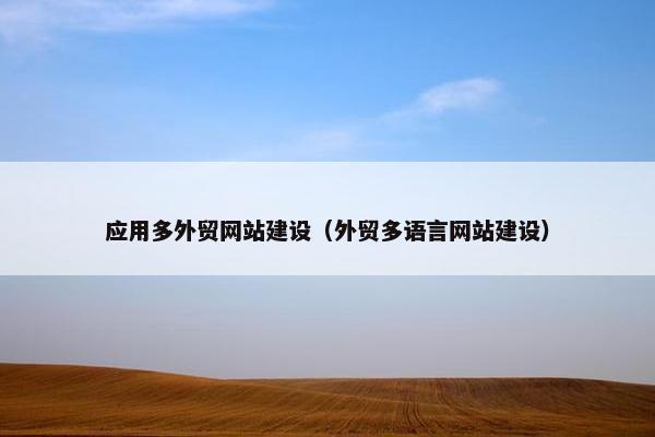 应用多外贸网站建设（外贸多语言网站建设）