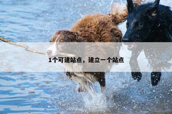 1个可建站点，建立一个站点