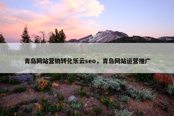 青岛网站营销转化乐云seo，青岛网站运营推广