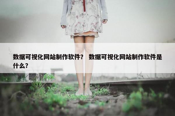 数据可视化网站制作软件？ 数据可视化网站制作软件是什么？