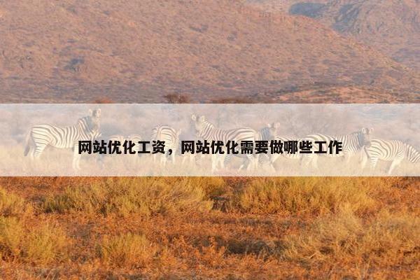 网站优化工资，网站优化需要做哪些工作