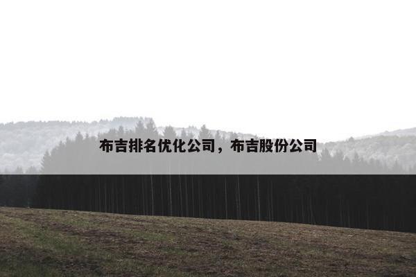 布吉排名优化公司，布吉股份公司