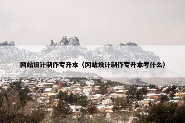 网站设计制作专升本（网站设计制作专升本考什么）