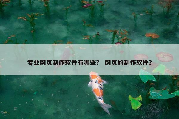 专业网页制作软件有哪些？ 网页的制作软件？