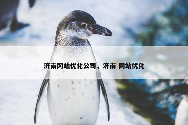 济南网站优化公司，济南 网站优化