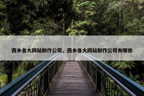 西乡各大网站制作公司，西乡各大网站制作公司有哪些