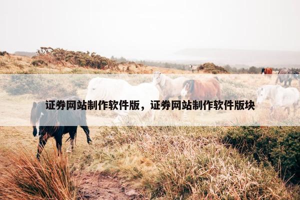 证券网站制作软件版，证券网站制作软件版块