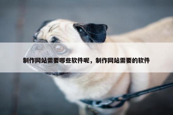 制作网站需要哪些软件呢，制作网站需要的软件