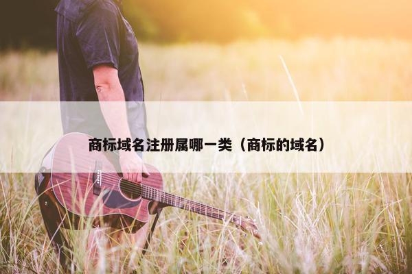 商标域名注册属哪一类（商标的域名）