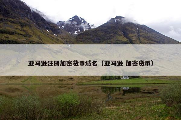 亚马逊注册加密货币域名（亚马逊 加密货币）