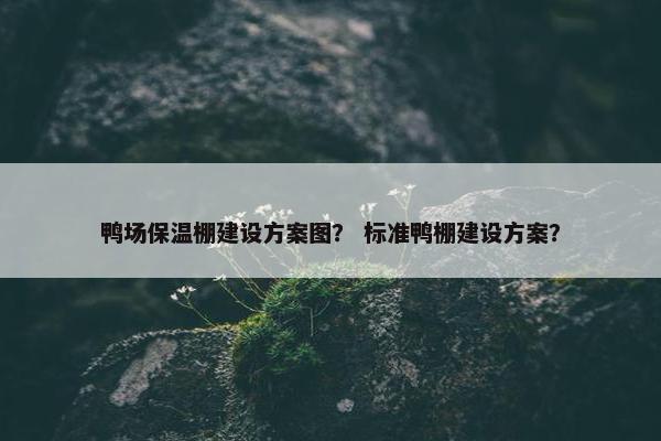 鸭场保温棚建设方案图？ 标准鸭棚建设方案？