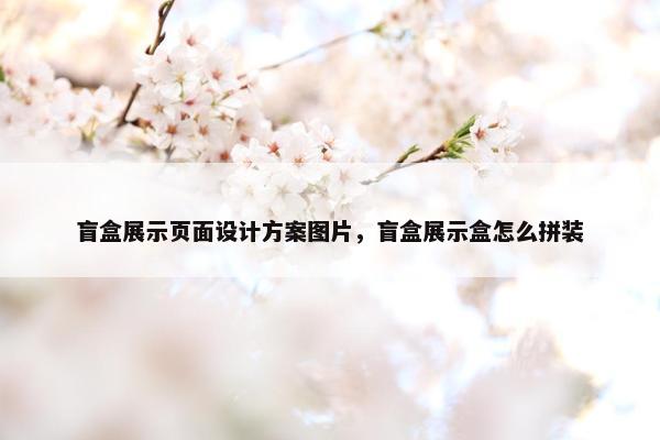 盲盒展示页面设计方案图片，盲盒展示盒怎么拼装