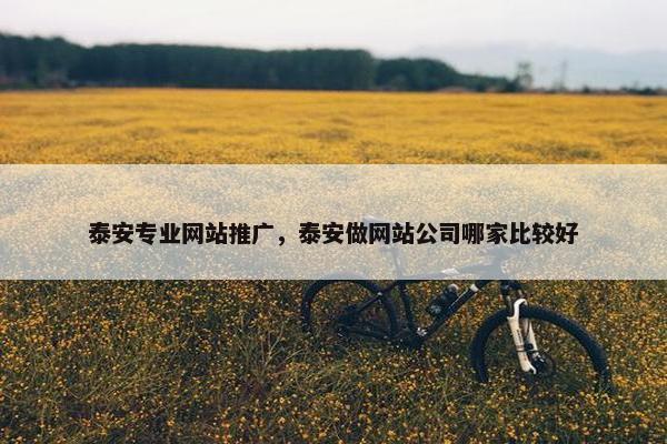 泰安专业网站推广，泰安做网站公司哪家比较好
