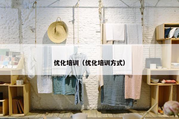优化培训（优化培训方式）