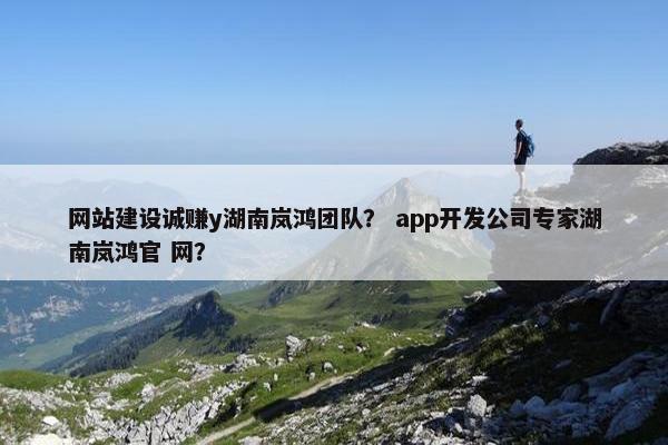 网站建设诚赚y湖南岚鸿团队？ app开发公司专家湖南岚鸿官 网？