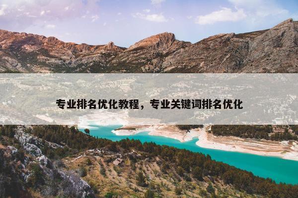 专业排名优化教程，专业关键词排名优化