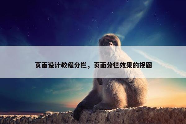 页面设计教程分栏，页面分栏效果的视图