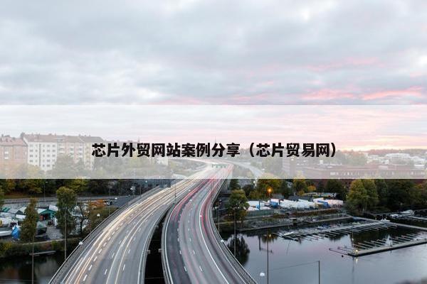 芯片外贸网站案例分享（芯片贸易网）