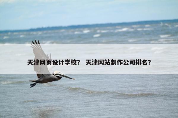 天津网页设计学校？ 天津网站制作公司排名？